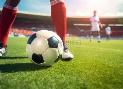铁血先锋肇,俊哲呼吁,辽宁足球振,好博体育官网,好博体育平台,好博体育链接,好博体育官方